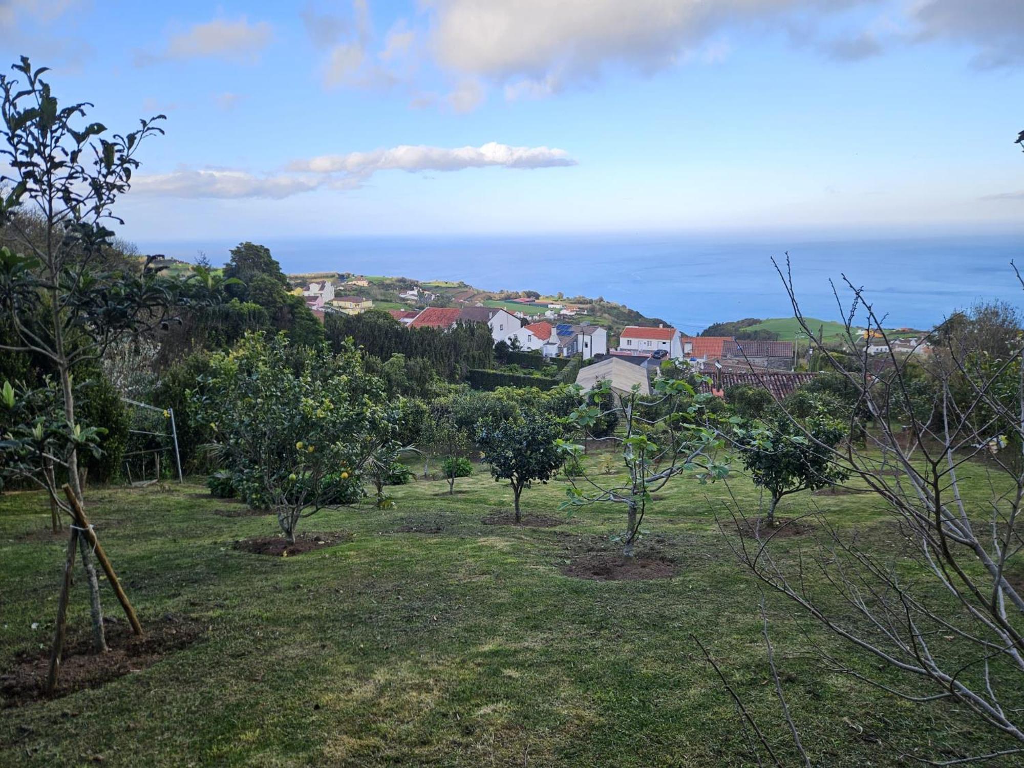 Casa Do Castanheiro - Nordeste, Acores Nordeste  Exterior photo